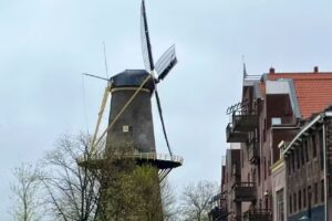 Hotel-café The Windmill