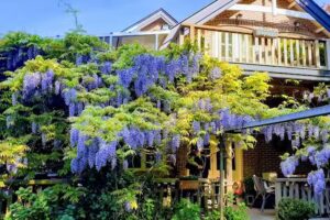 Hotel-Pension Zoom-Oord