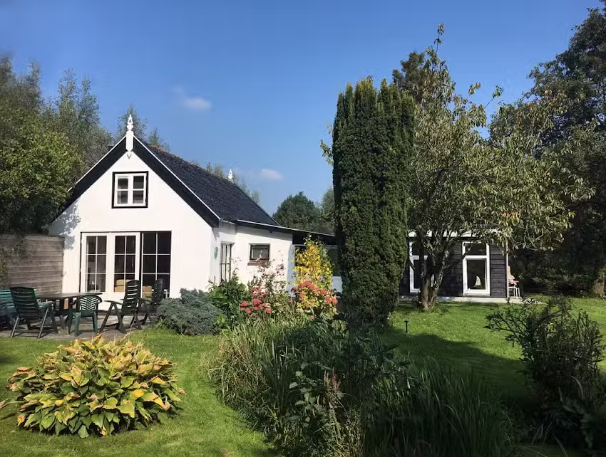 Beherberge den Frosch