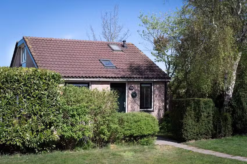 House Dune Butterfly