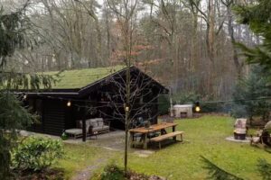 La maison sous la forêt