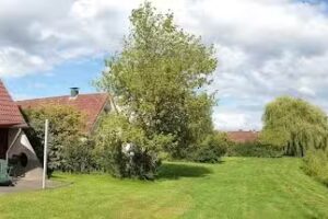 House at Centerparcs Emmen park Sandur