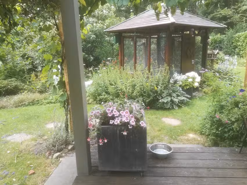 Huisje Woeste Wolden