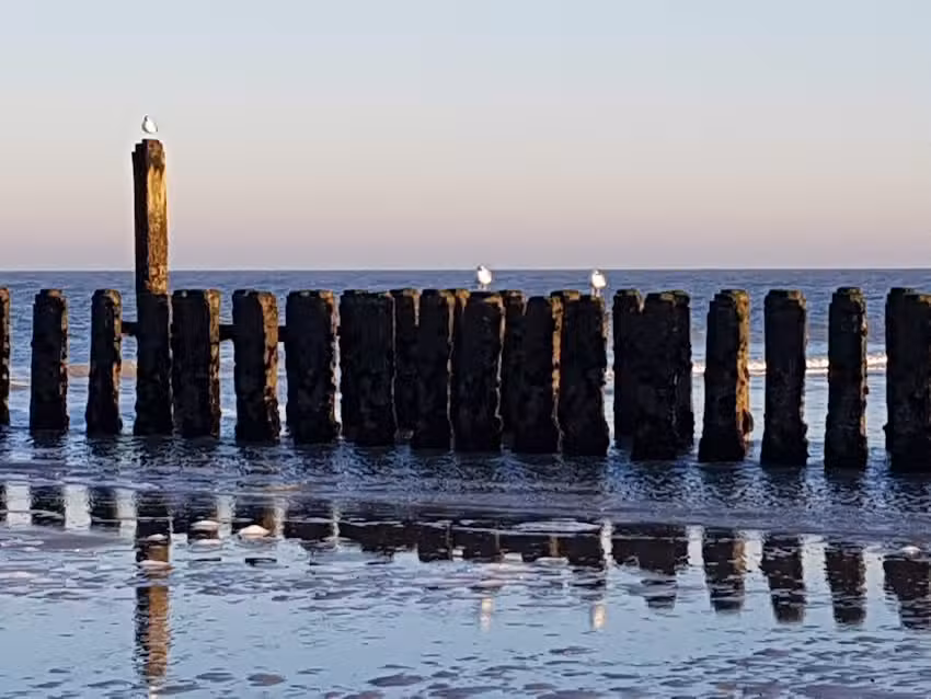 Alquiler de casa en Domburgo
