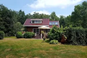 Izbushka Royal et Izbushka Vogelzang restent