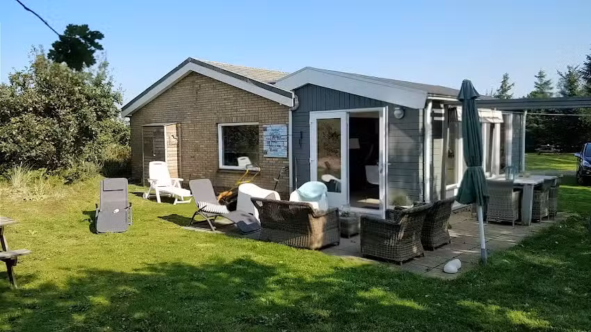 Trébol de cuatro hojas – MyAmeland.nl