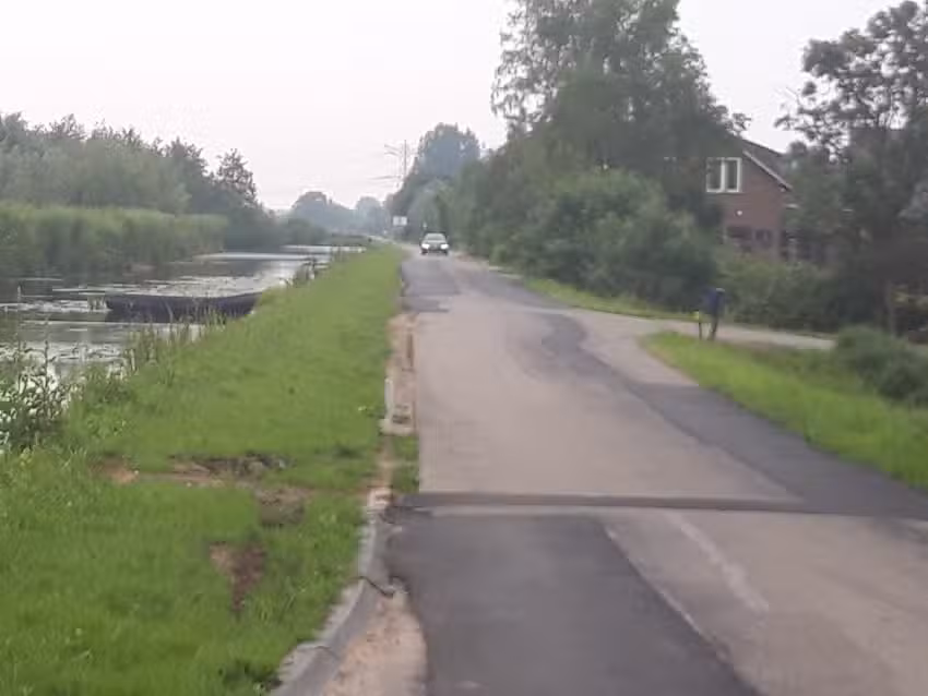 Kleiner Nymphensittich