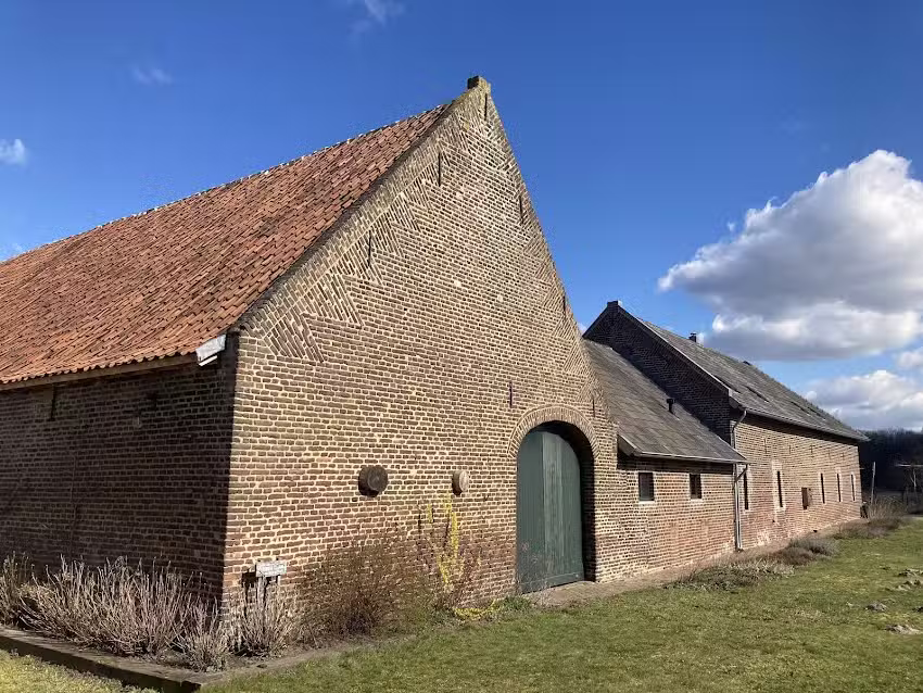 Koningshof the Cornflower