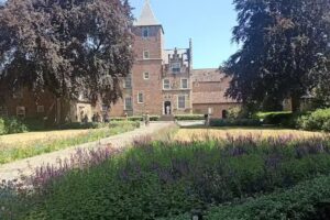 Kuikseind, Sonne und Leben