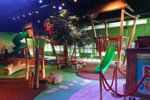 Landal Het Vennenbos Park Plaza