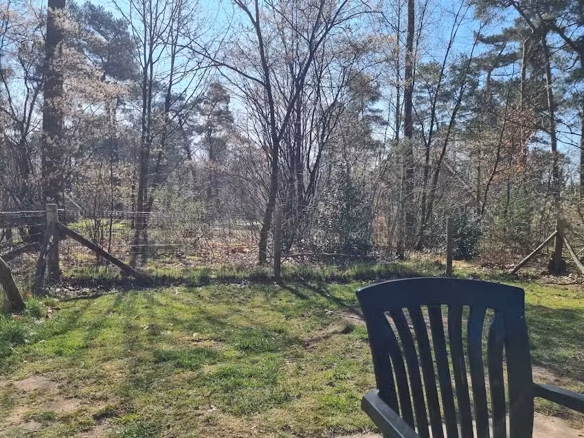 Landal Twenhaarsveld | bungalow 321