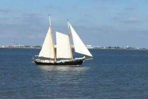 Finca De Lente, Krokus 10