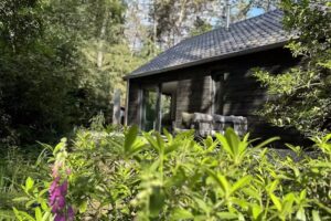 Lekker Boshuisje Leeuwerik