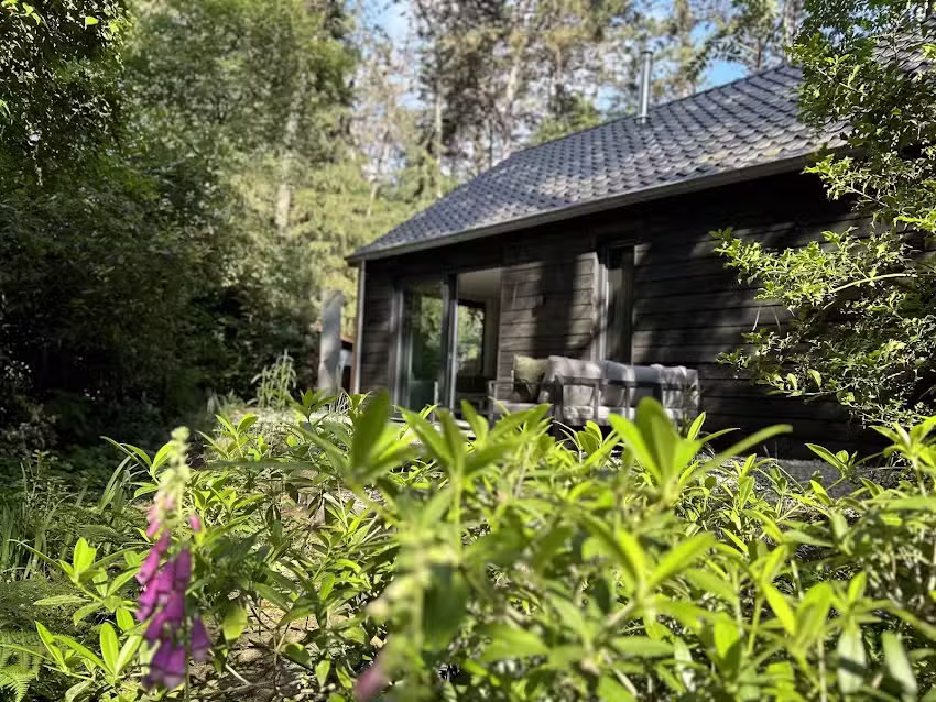 Nice Forest House Leeuwerik