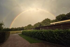 Lust for Life Hulshorst