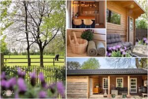 Accommodation-Muscle