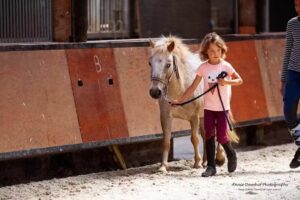 Riding school Noordoostpolder