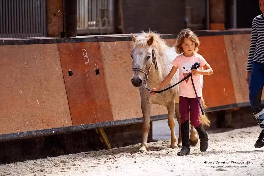 Reitschule Noordoostpolder