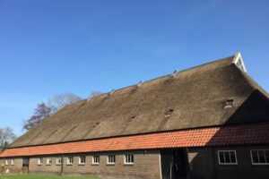 Dairy farm JA Middelwijk