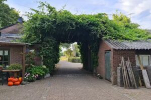 Minicamping PietershoeK