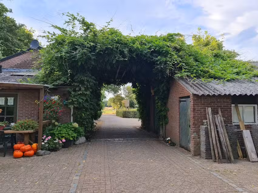 Minicamping PietershoeK