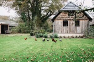 Recreación del Ministerio del Interior