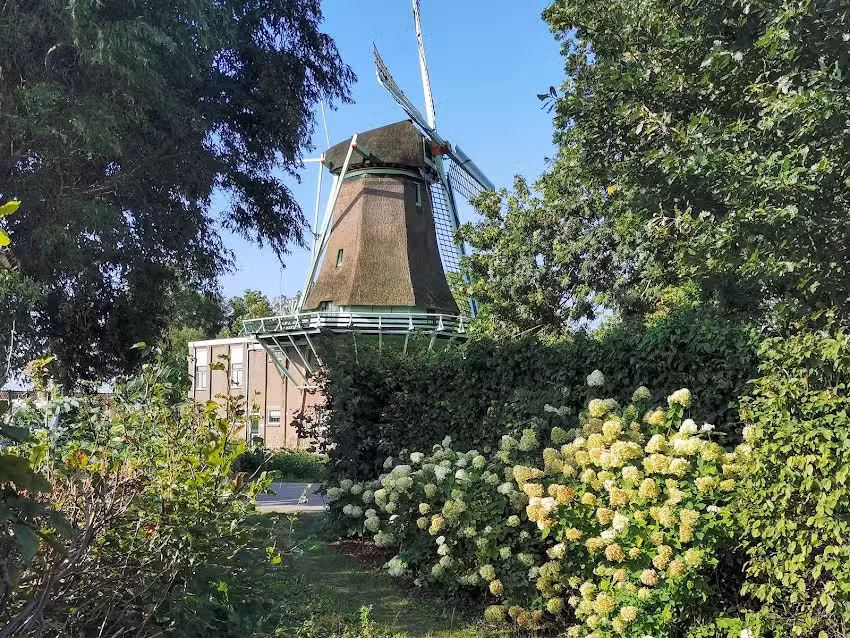 In der Nähe der Mühle