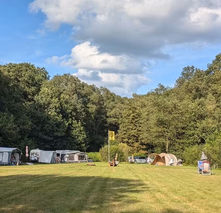Naturistenvereniging Heliantus