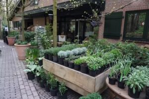 camping nature Landgoed de Wildert