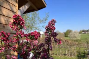 Nature house Banholt