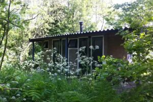 Natuurkampeerterrein Aaster Uiltje