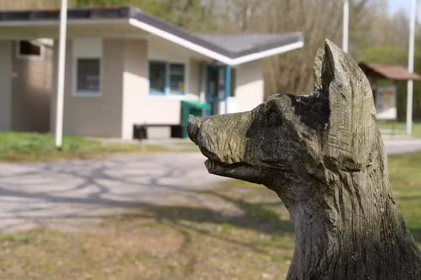 Nature camping site De Dasselaar