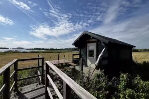 Camping natural De Knotwilg