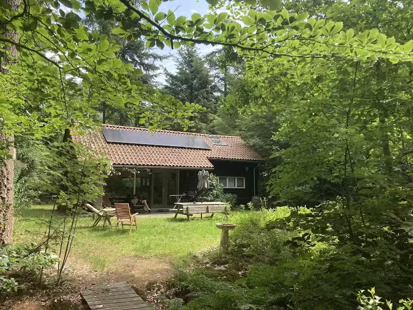 Our Forest House