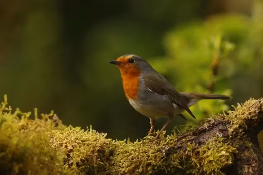 Nuestra casa de vacaciones