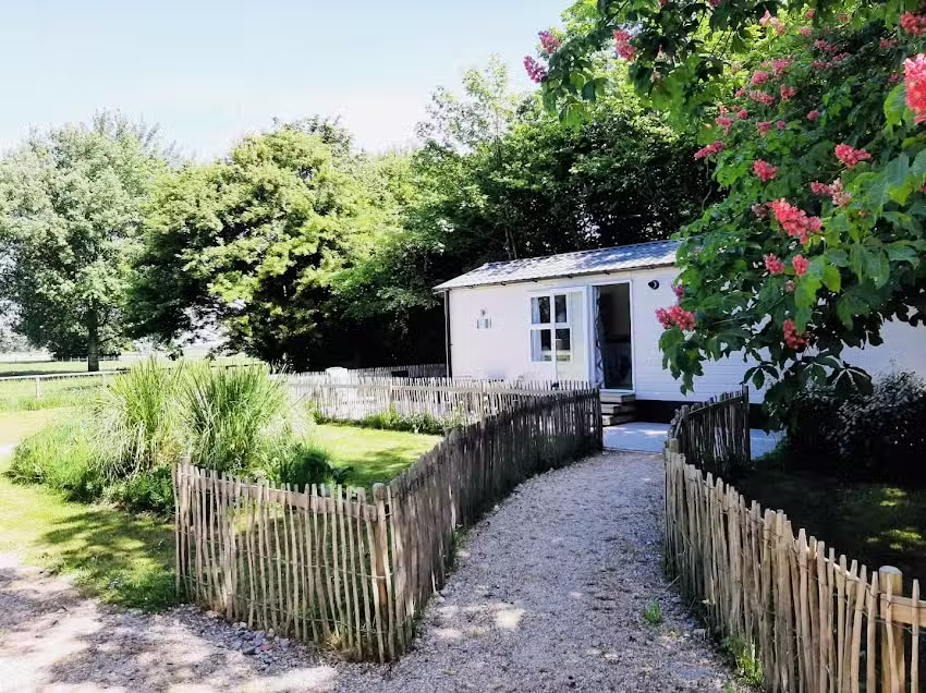 Spend the night happily