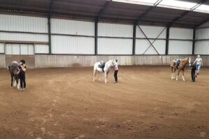 Centre équestre De Steegh