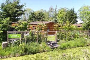 Alquiler de bungalows Postma