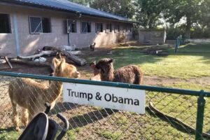 Ferme de loisirs De Zeemeeuw