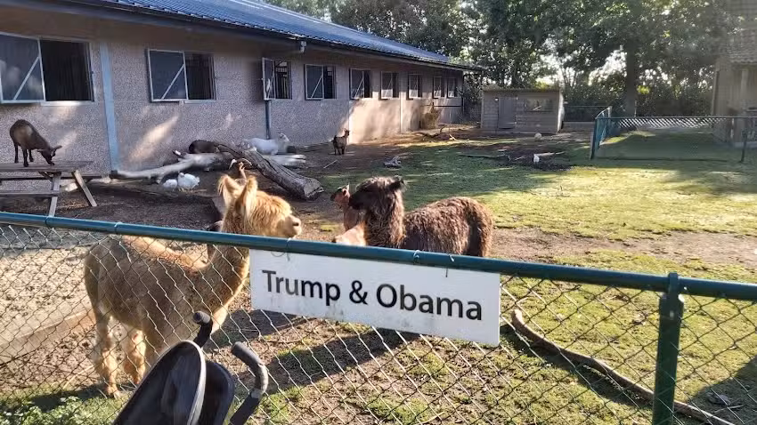 Ferme de loisirs De Zeemeeuw