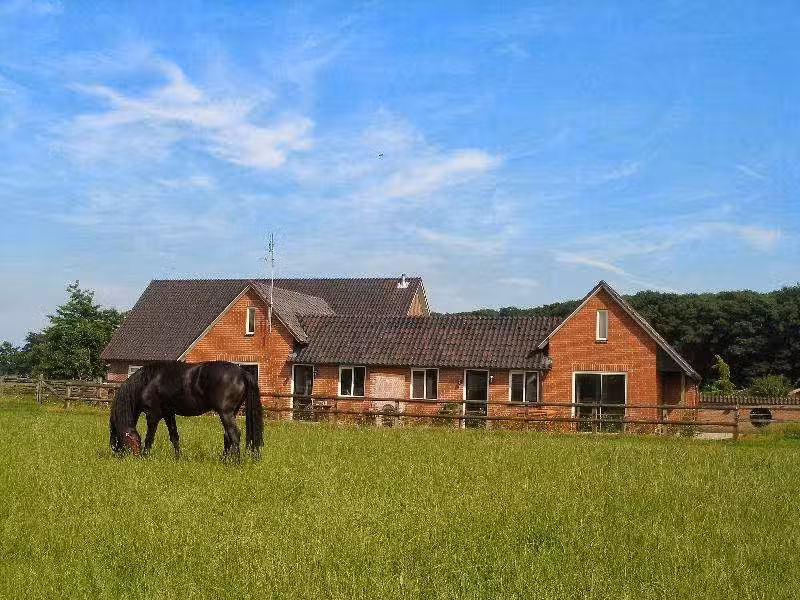 Recreation area Hippique