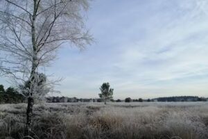 Recreatiepark De Zilverden