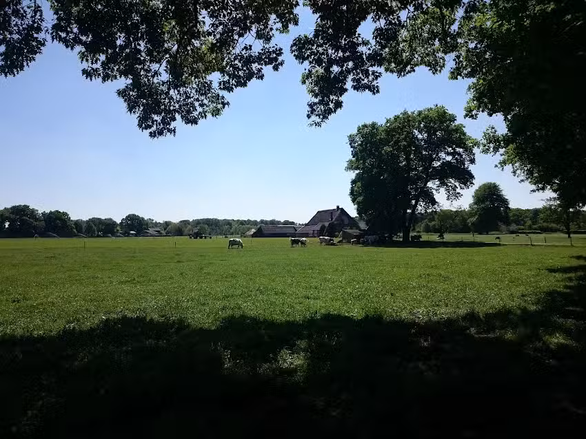 Ferienhaus / Sommerhaus