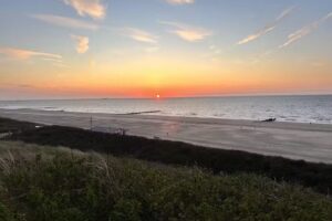 Residence Wijngaerde