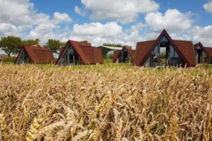 Restinn Warmenhuizen