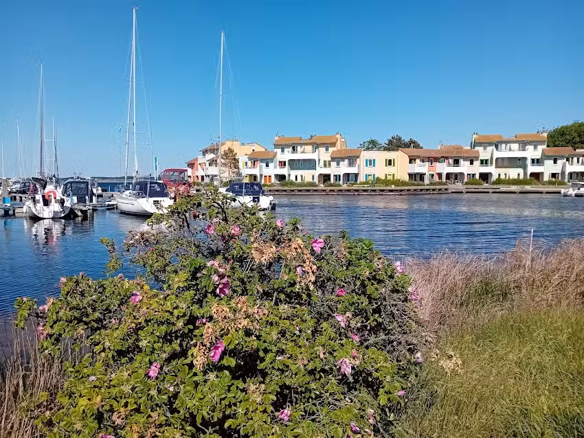 roompot MARINA PORT ZÉLANDE