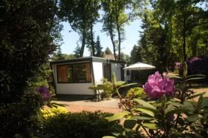 Rest on the Sallandse Heuvelrug