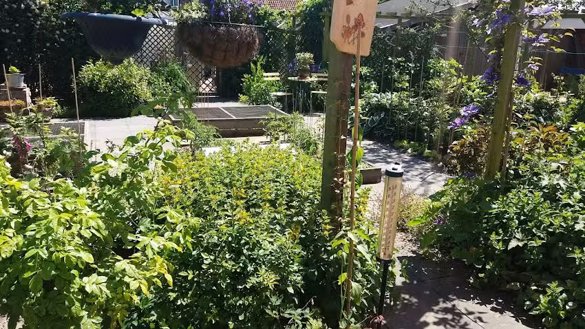 Jardín de té y B&B de Saartje