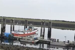 Tente safari sur la côte de Tholen