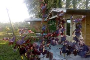 Schlafbereich de Vier Ambachten